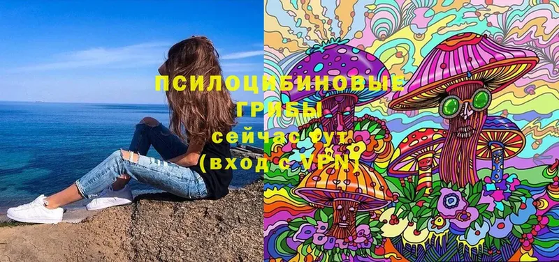 где продают   Лагань  Галлюциногенные грибы MAGIC MUSHROOMS 